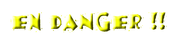 en danger !!!!!